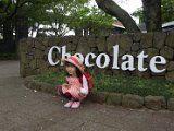 Chocolate Land